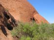 Ayers Rock - Uluru (10)